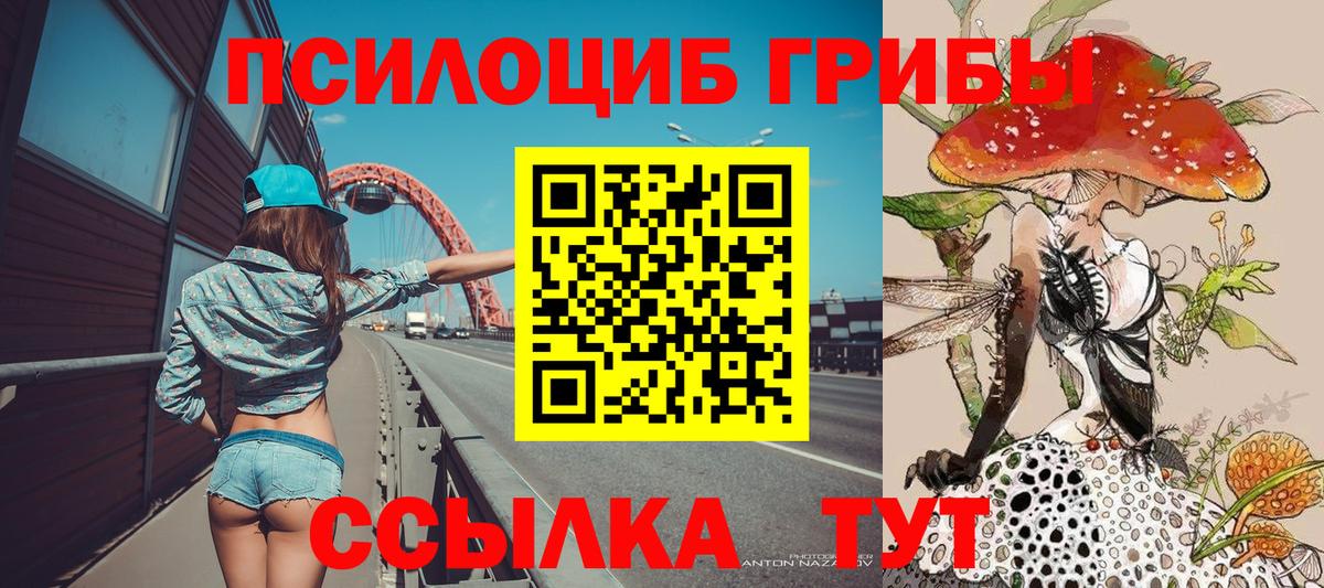 Псилоцибиновые грибы Psilocybe  Галлюциногенные грибы ЛСД  Шелехов  Вход с VPN 
