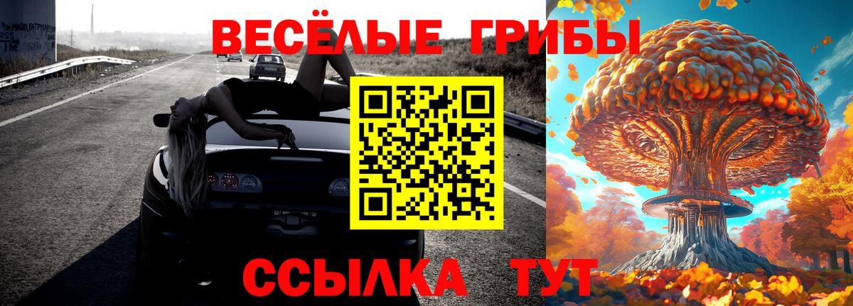 Галлюциногенные грибы GOLDEN TEACHER Шелехов
